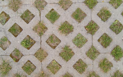 Driveway Pavers
