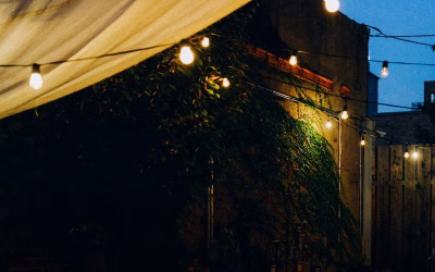 Landscape Lighting