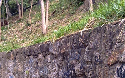 Retaining & Seating Walls